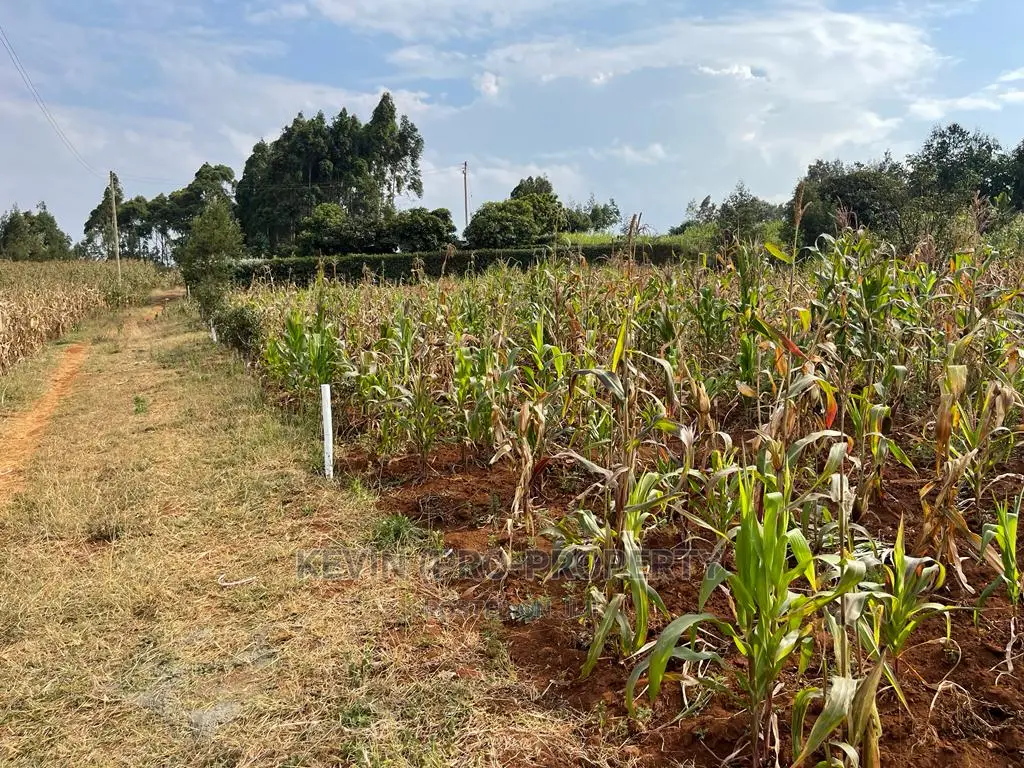 Residential Plot in Kikuyu, Kamangu Karai (Migumoini Area)
