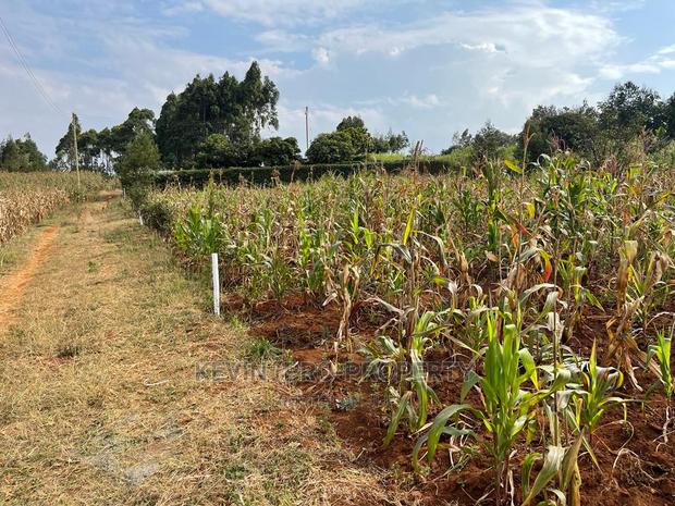 Residential Plot in Kikuyu, Kamangu Karai (Migumoini Area) - thumbnail 15