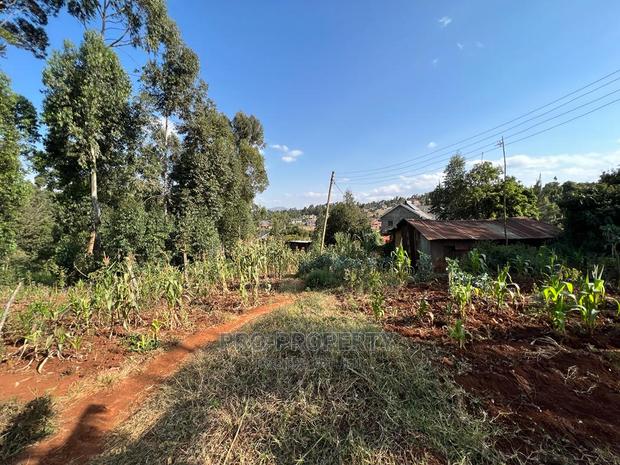 Prime Residential Plot for Sale in Kikuyu, Gikambura. - thumbnail 3
