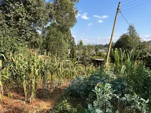 Prime Residential Plot for Sale in Kikuyu, Gikambura.