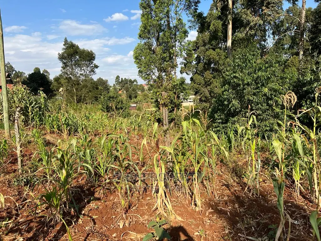 Prime Residential Plot for Sale in Kikuyu, Gikambura.