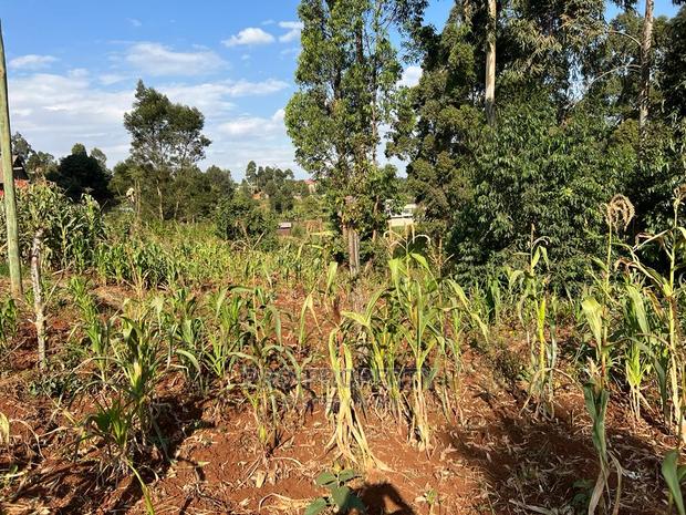 Prime Residential Plot for Sale in Kikuyu, Gikambura. - thumbnail 8