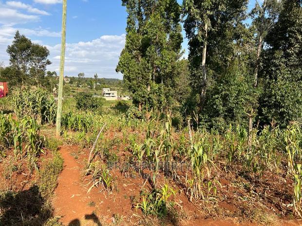 Prime Residential Plot for Sale in Kikuyu, Gikambura. - thumbnail 10