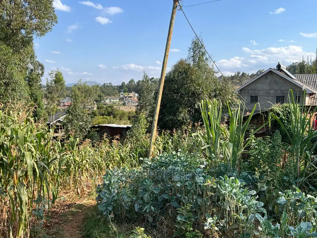 Prime Residential Plot for Sale in Kikuyu, Gikambura.