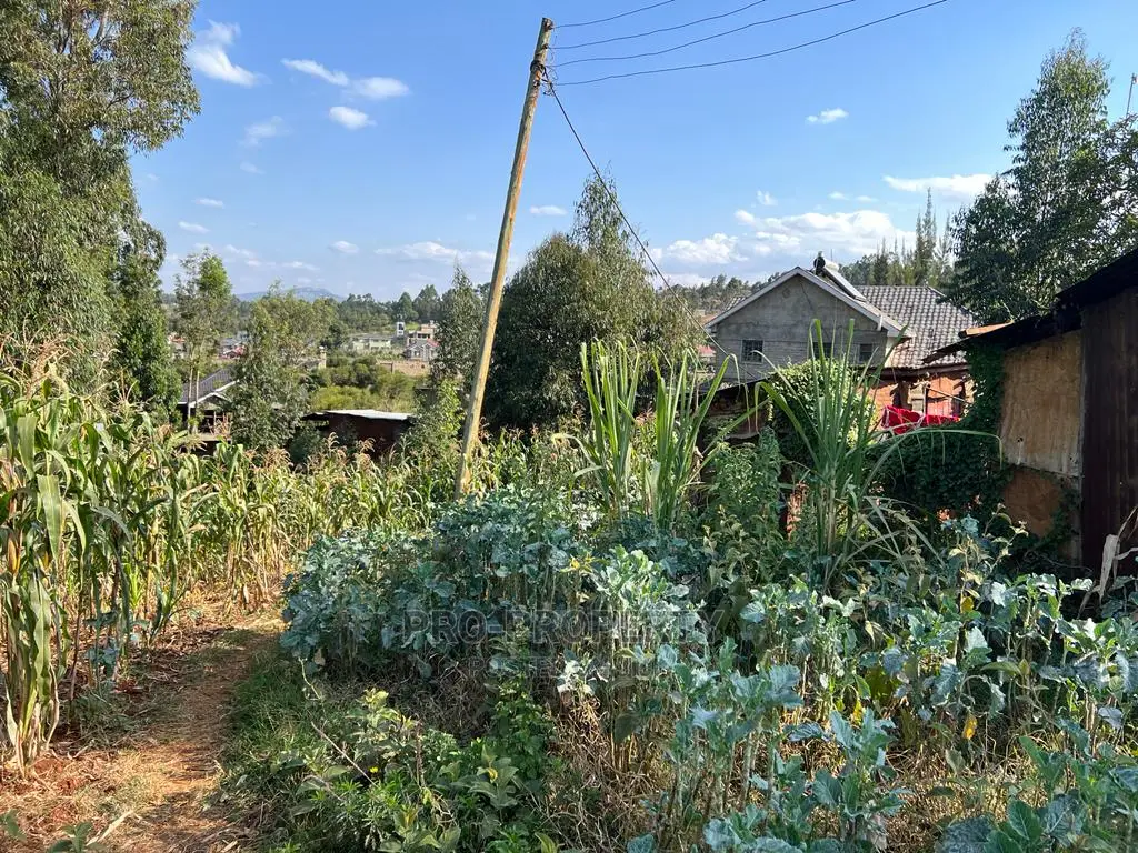 Prime Residential Plot for Sale in Kikuyu, Gikambura.