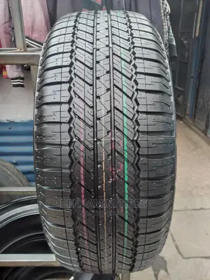 Bridgestone Tires Sizes 265/55r19.