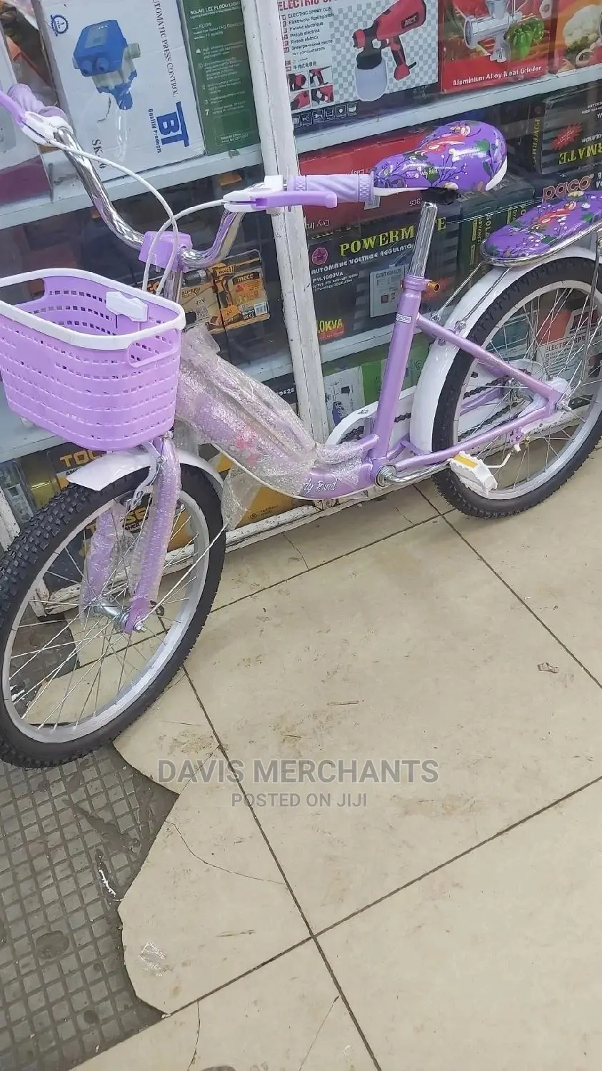 Girl Child's Best Bike