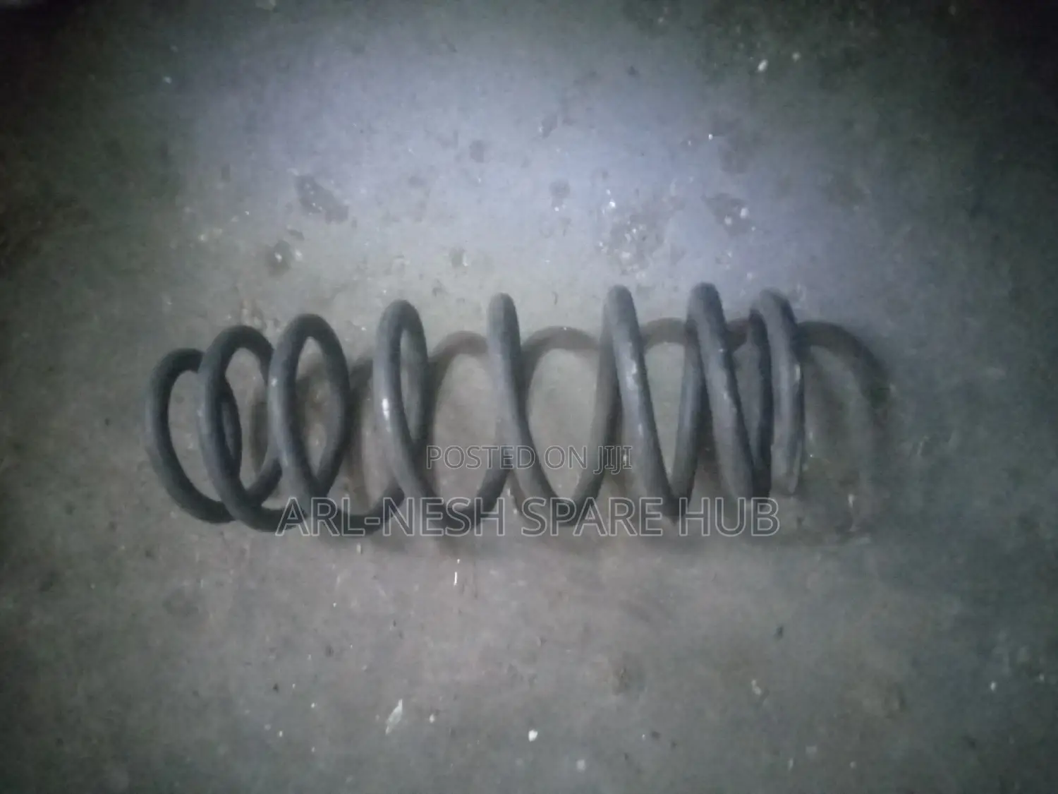 Mazda Verisa Rear Coil Springs
