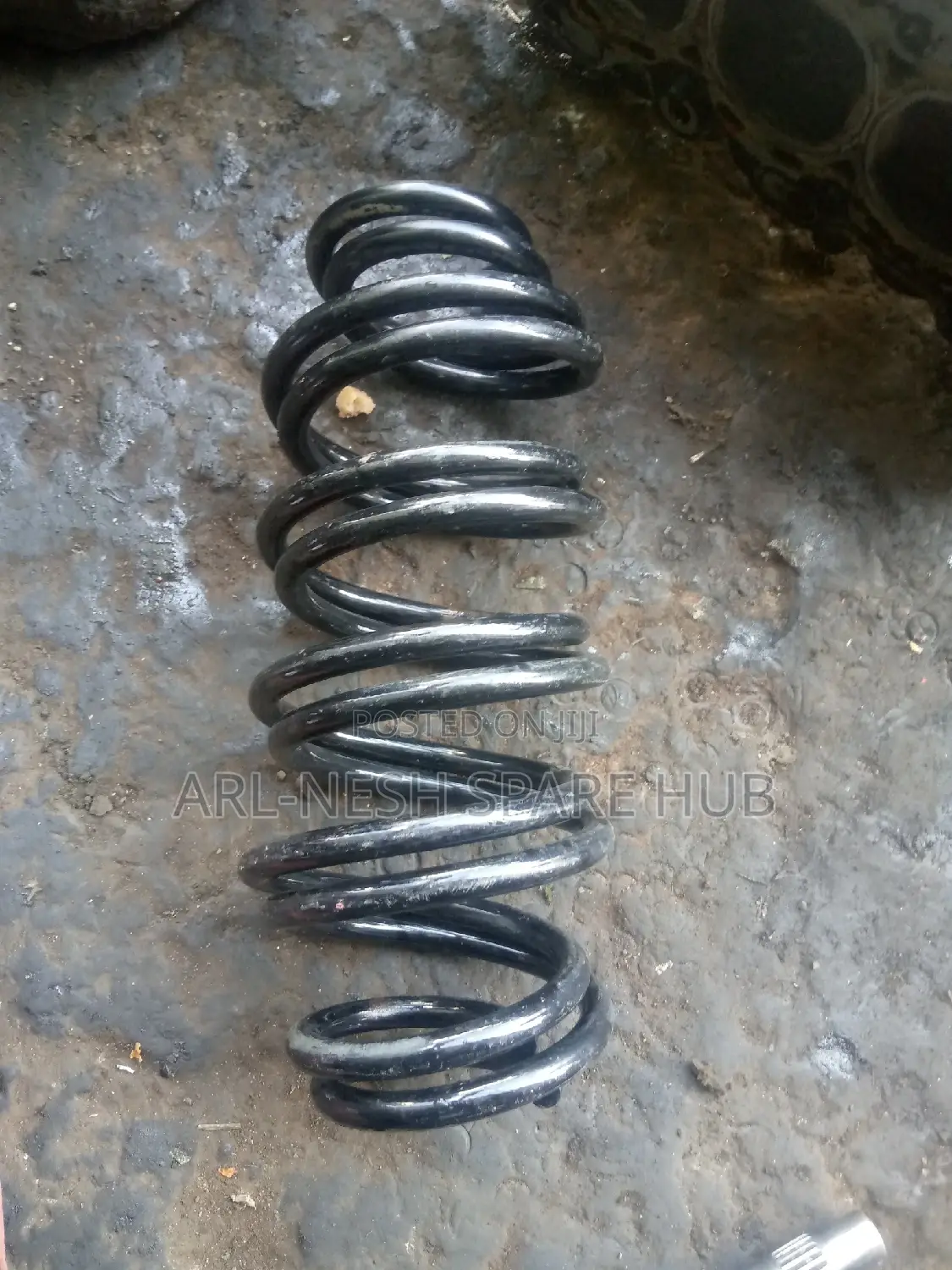 Mazda Verisa Rear Coil Springs