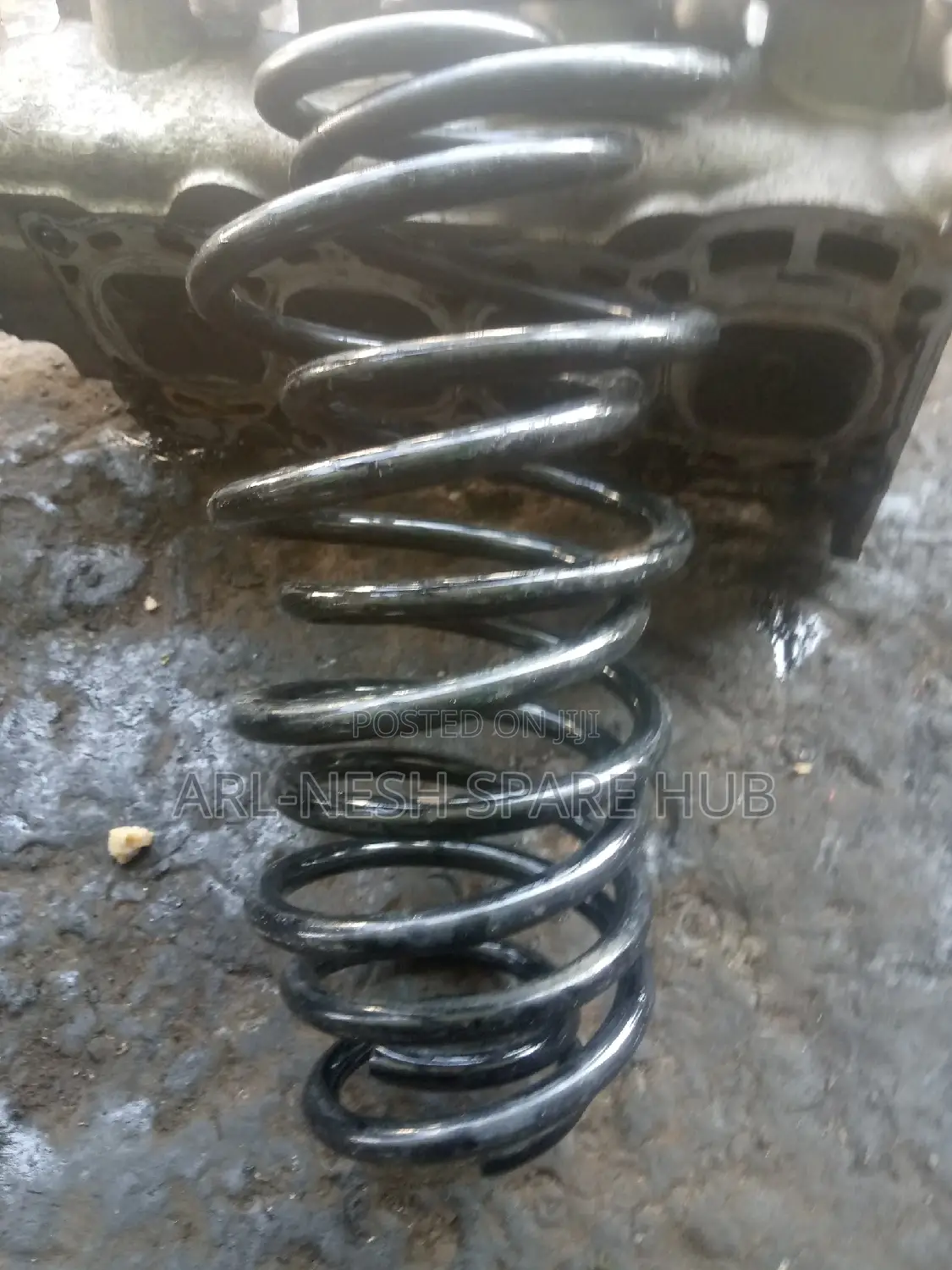 Mazda Verisa Rear Coil Springs