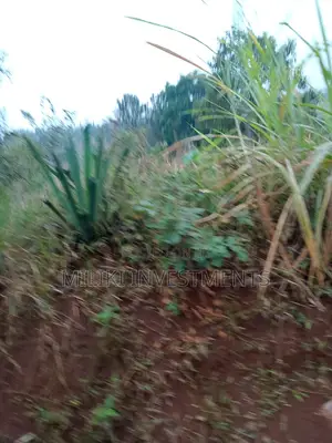 50 by 120 Ft Plot on Sale.