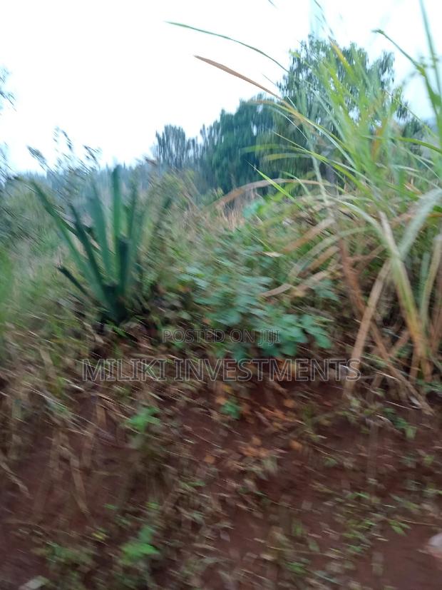 50 by 120 Ft Plot on Sale. - thumbnail 3