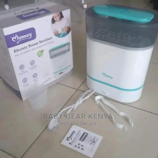 Sterilizer/Electric Steam Sterilizer - main view