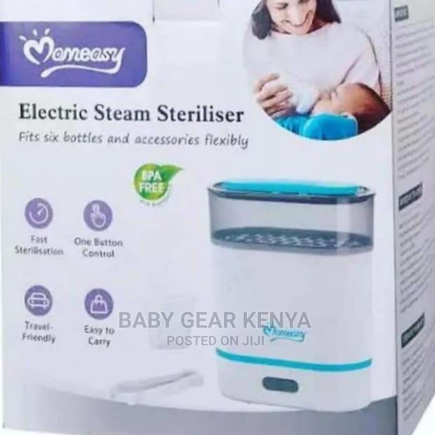 Sterilizer/Electric Steam Sterilizer - main view