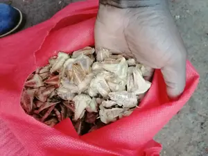 Aurocharia Tree Seeds.