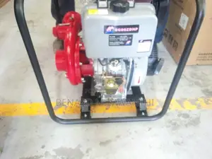 Water Pump Stallions Germany