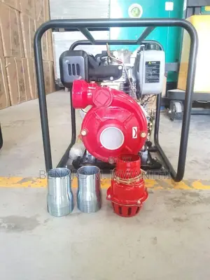 Water Pump Stallions Germany