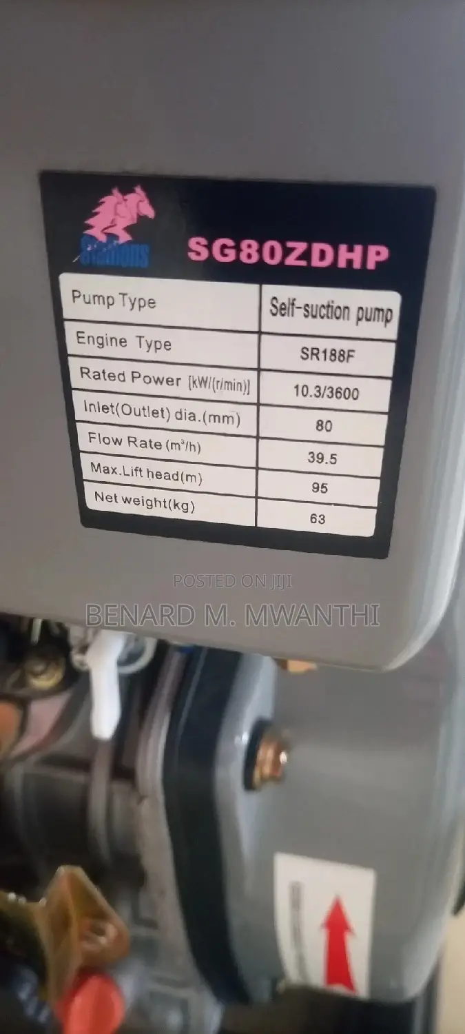 Water Pump Stallions Germany