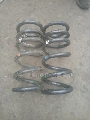 Pajero Shogun Rear Coil Springs