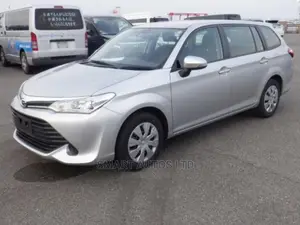 Toyota Corolla Fielder 2017 Silver