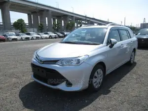 Toyota Corolla Fielder 2017 Silver