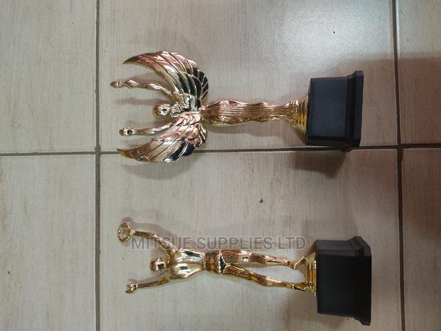 Multi-Purpose Sport/Competition Trophy ( Male or Female)