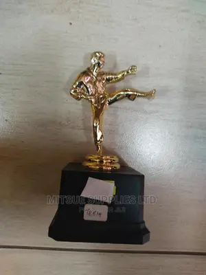 Karate/ Taekwondo Winner/Runner Up Trophy-17cm