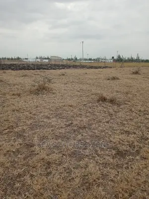 Ideal Residential/Commercial Plot for Sale