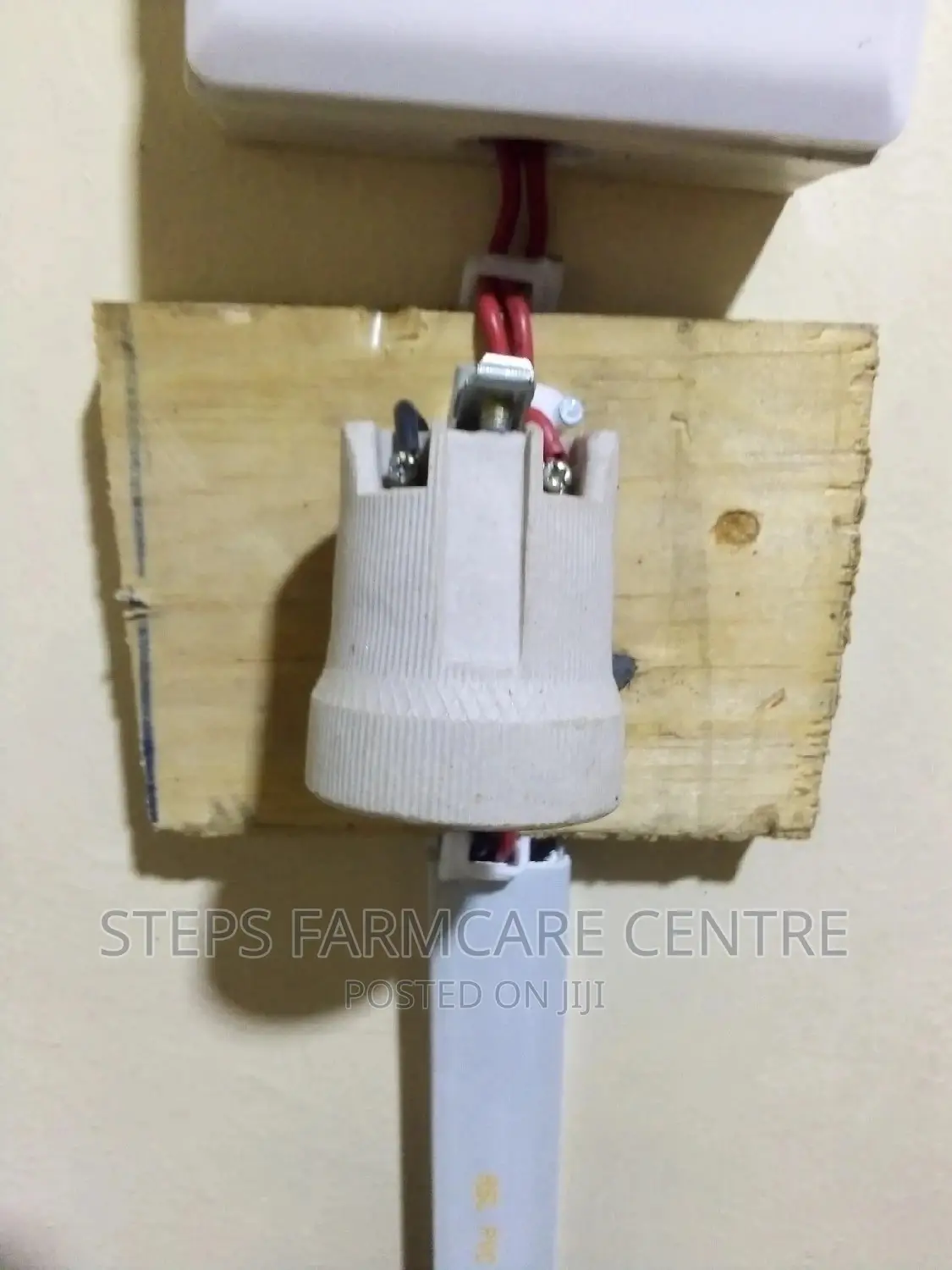 250 Watts Ceramic Heater Bulb