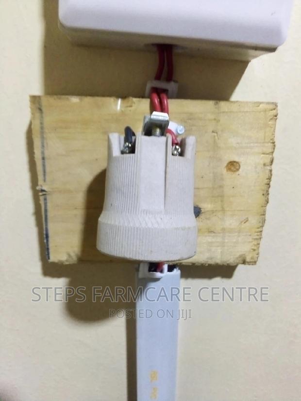 250 Watts Ceramic Heater Bulb - thumbnail 2