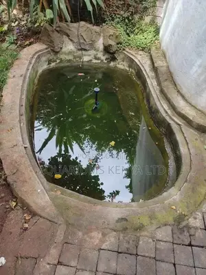 Terrapin And Turtle Pond Construction