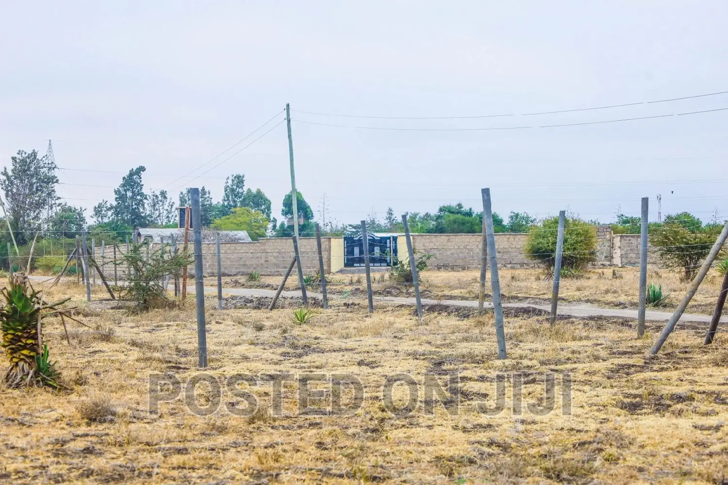 Deposit 100k and Start the Process of Owning This Plot