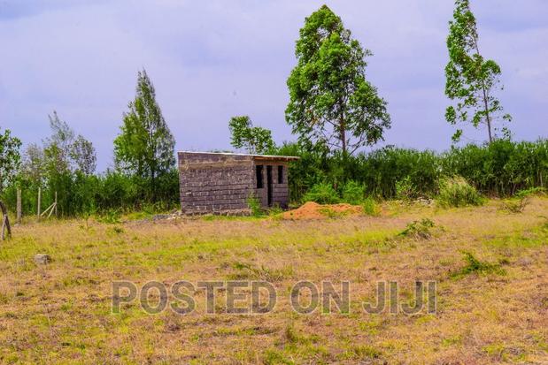 Deposit 100k and Start the Process of Owning This Plot - thumbnail 3