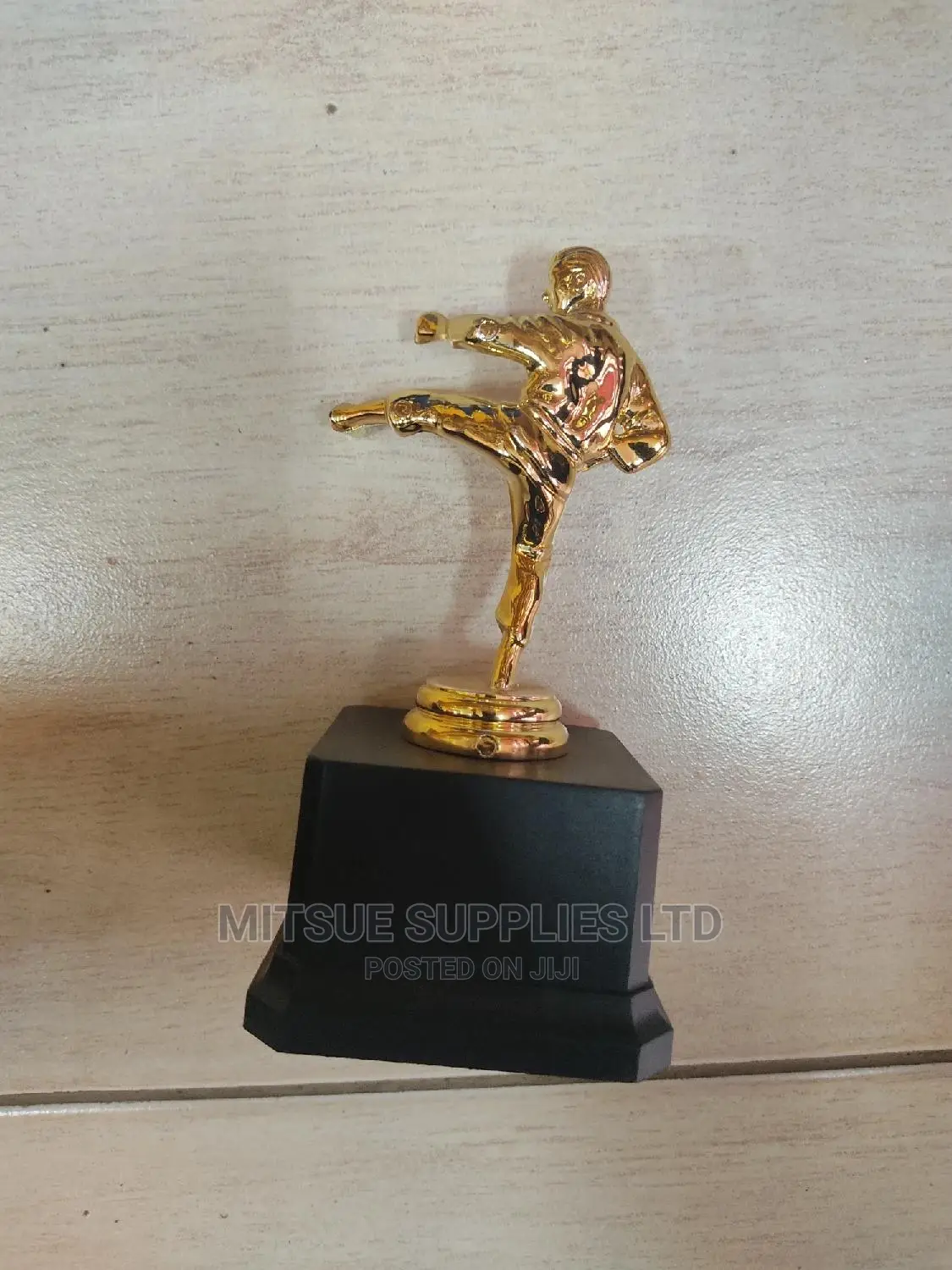 Karate/ Taekwondo Winner/Runner Up Trophy-17cm