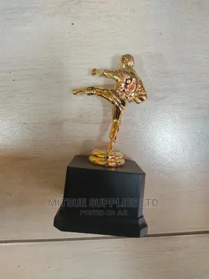 Karate/ Taekwondo Winner/Runner Up Trophy-17cm