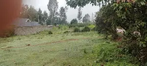 Karatina Rafina Prime Plot 50/100
