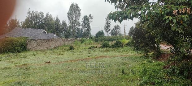 Karatina Rafina Prime Plot 50/100 - thumbnail 6