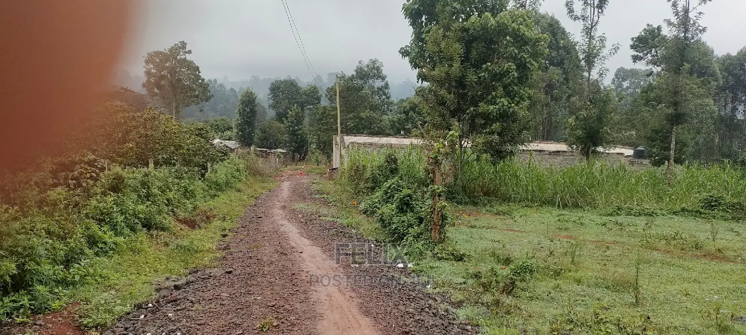 Karatina Rafina Prime Plot 50/100