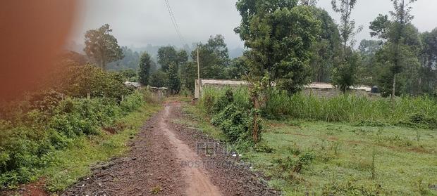 Karatina Rafina Prime Plot 50/100 - thumbnail 12