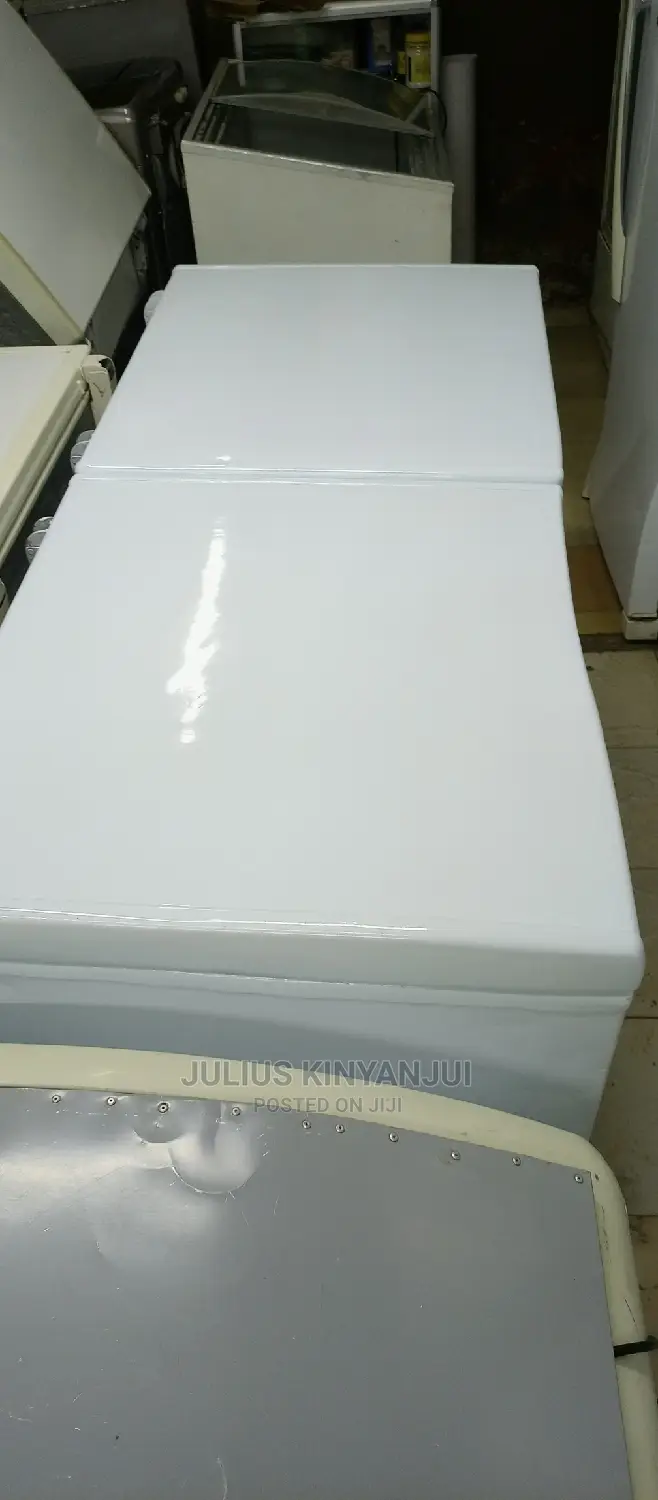 Double Door Freezer