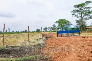 Juja Farm Plots for Sale- 300m From the Main Road