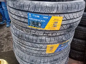 255/55r19 Wingood Tyre