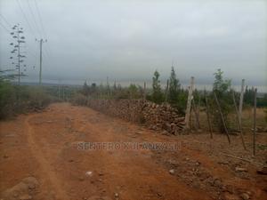 Land for Sale - thumbnail 2