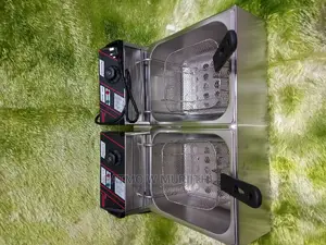 Redberry Commercial Chips/Fish Fryer