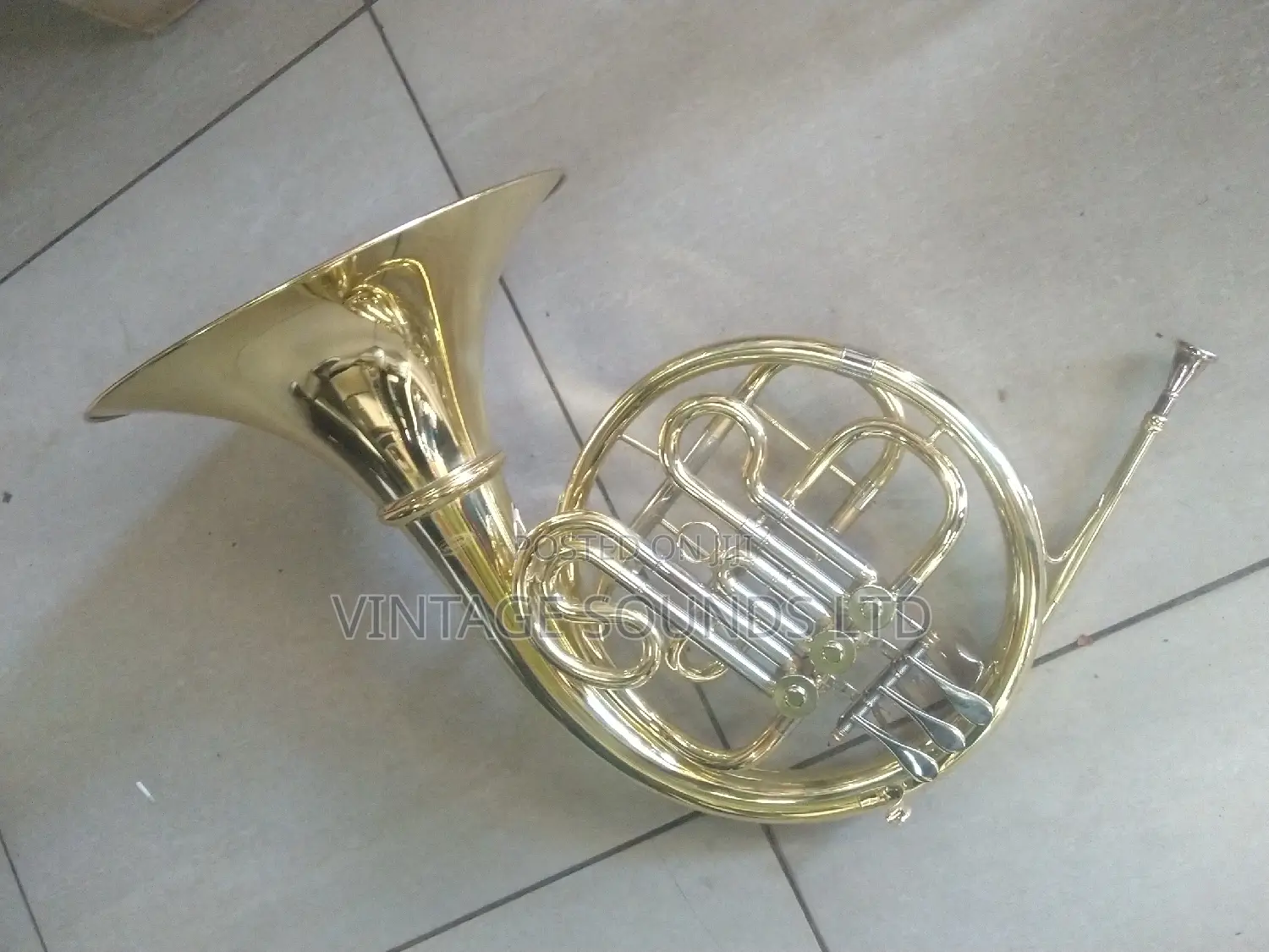 Arena French Horn