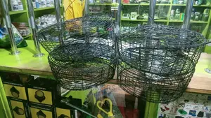 Rat Trap Nest