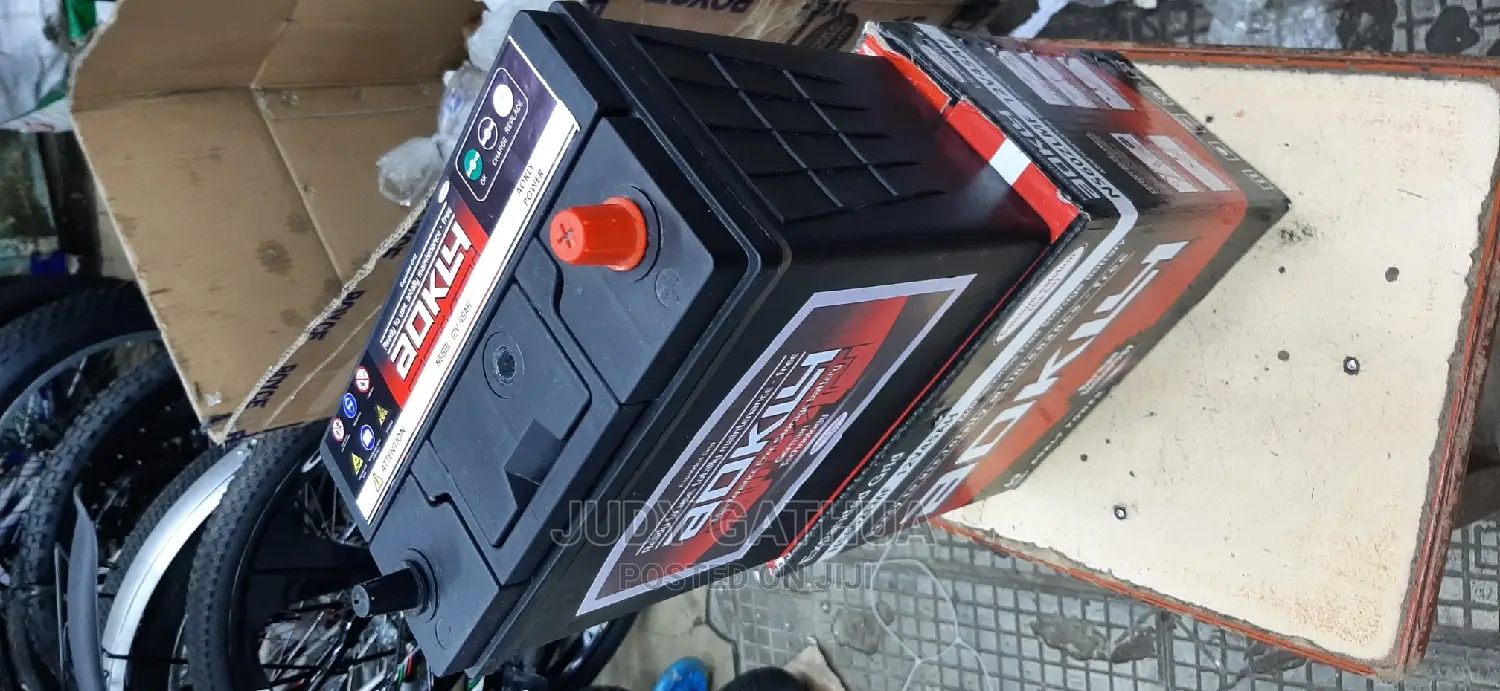 Car Battery NS60