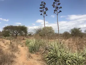 40 Acrea Touching Wote Tarmac Road Makindu