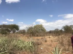 40 Acrea Touching Wote Tarmac Road Makindu
