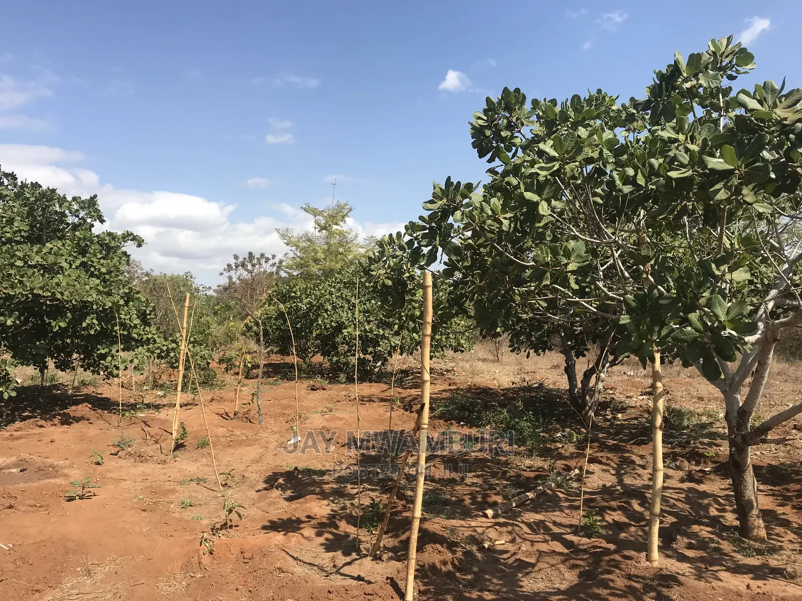 40 Acrea Touching Wote Tarmac Road Makindu